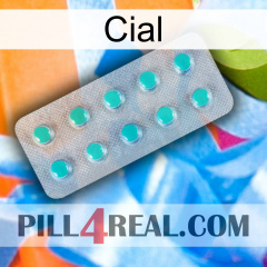 Cial 28